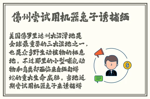日本漫画无疑岛漫画